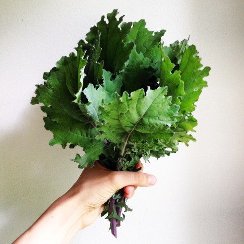 red russian kale