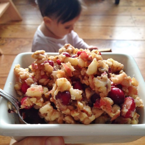 Apple Cranberry "Oatmeal"